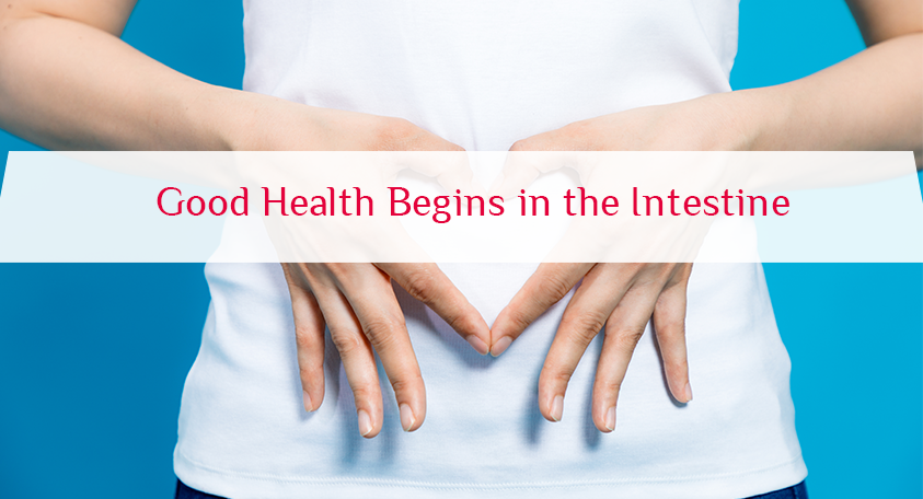 Good Health Begins in the Intestine