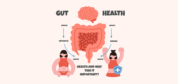 Understanding the link between gut and health