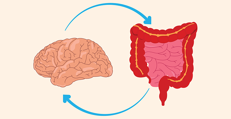 Understanding the Gut-Brain Axis