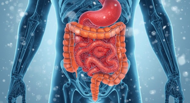 How Probiotics Specifically Help During Winter