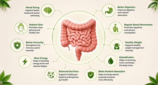 Your Gut Does Far More Than Digest Food