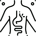Better Absorption