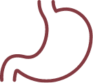 digestive-system-icon1