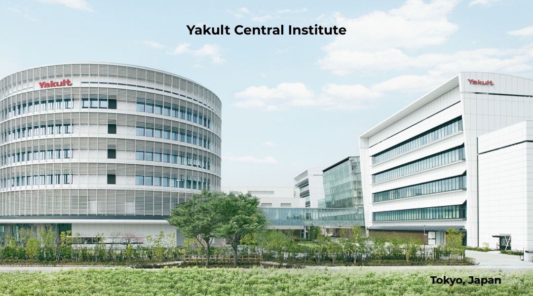 yakult